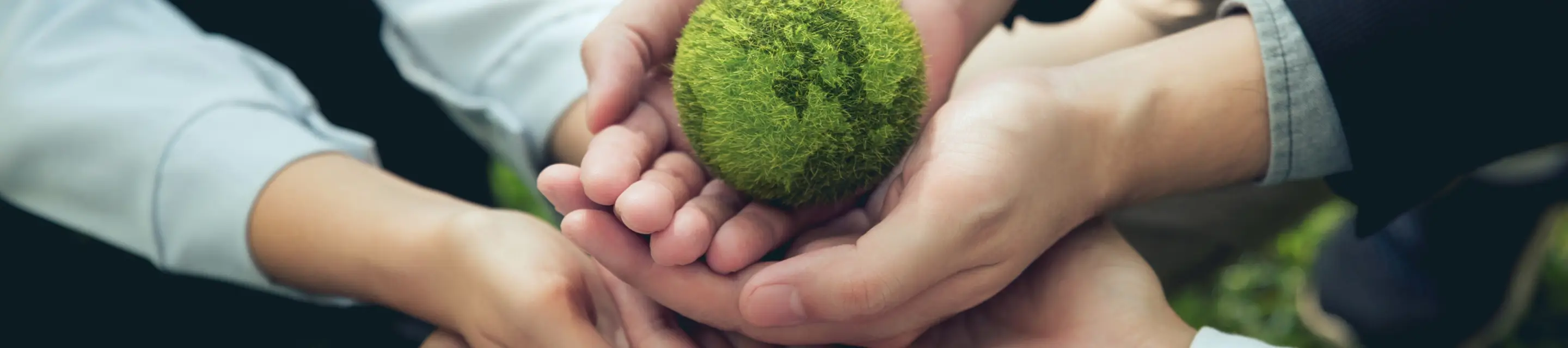 Banner การพัฒนาอย่างยั่งยืนด้านสิ่งแวดล้อมและสังคม